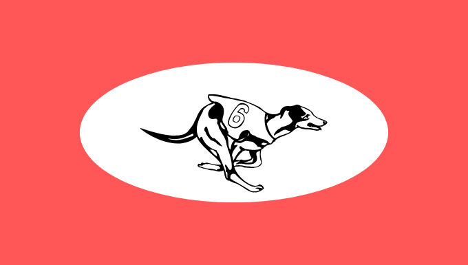 Greyhound Racing Betting Guide